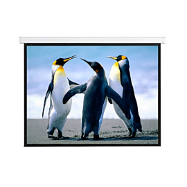 Anchor 110" Electric Projector Screen with Remote 16:10 Ratio