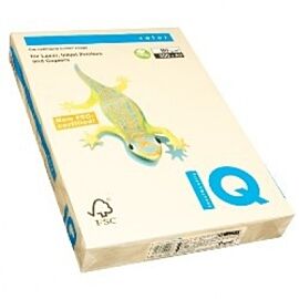 IQ Colored Copy Paper, A4, 160gsm, Cream, 250Sheets/Ream
